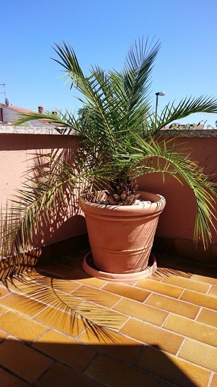 Licul Apartment Rovinj Pokoj fotografie